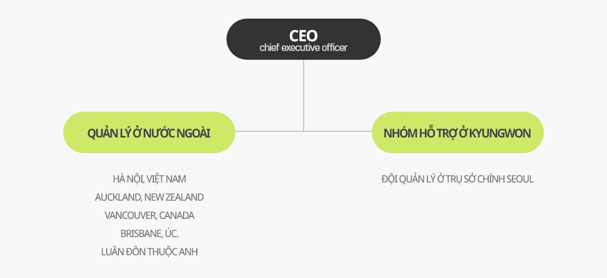 organization chart